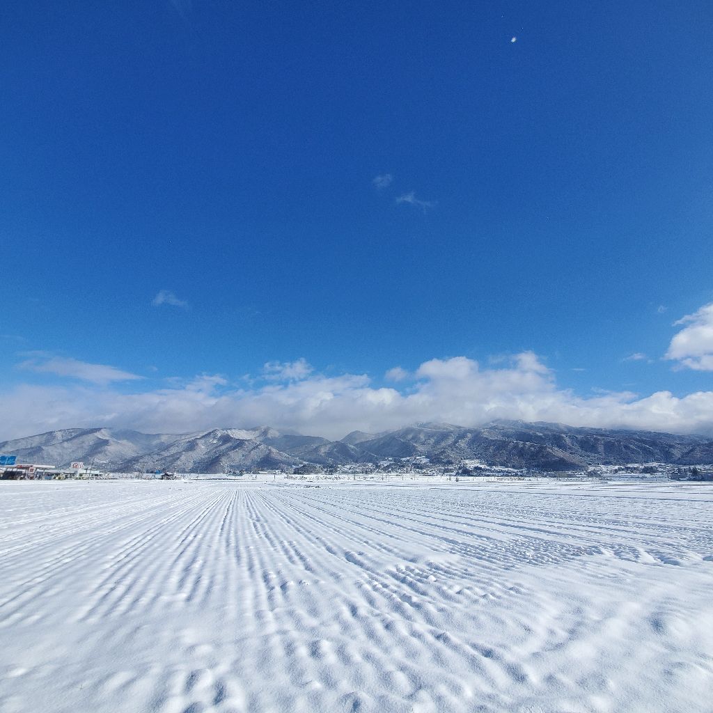 20251203 世界的に有名なラジオトーカーが一般主婦とコラボするのかどうか？の話