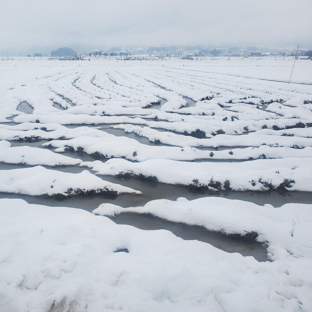 20251505 サンタのコスプレでスナックらじおとおくを開いて欲しい🤍と言うのを忘れたラジラン