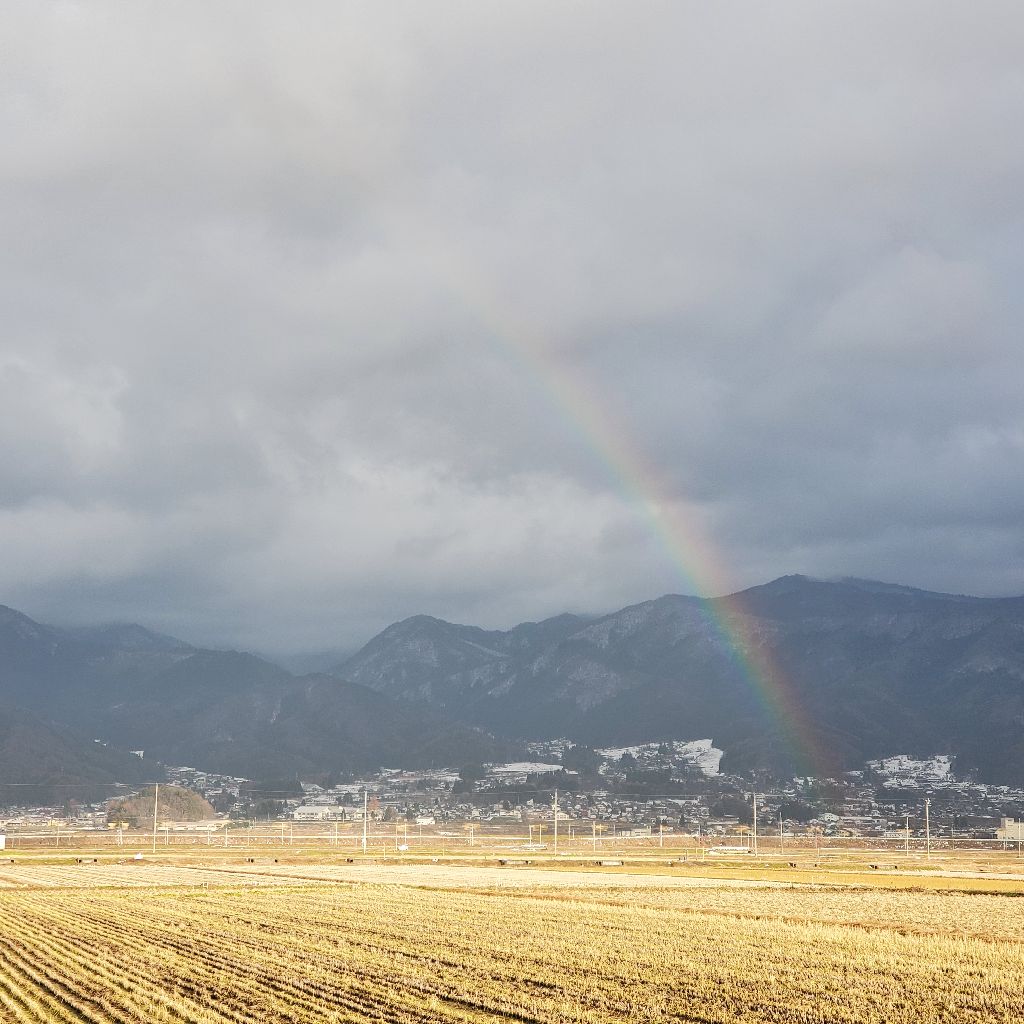20251208 🌈虹ランで会計の仕事の話