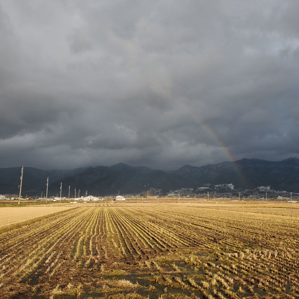 20251208 🌈虹ランで会計の仕事の話