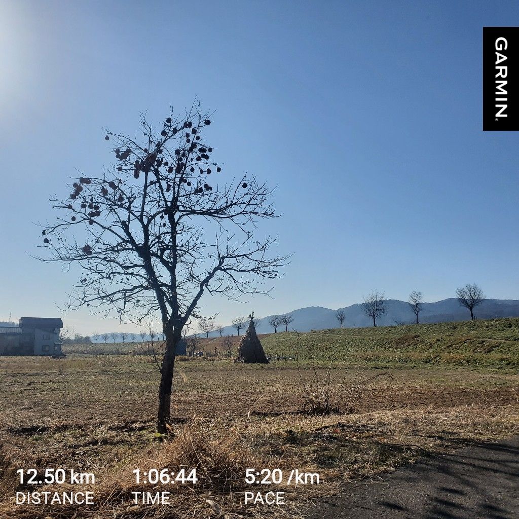 20251011 ギターの勉強をしている話とお返しトーク