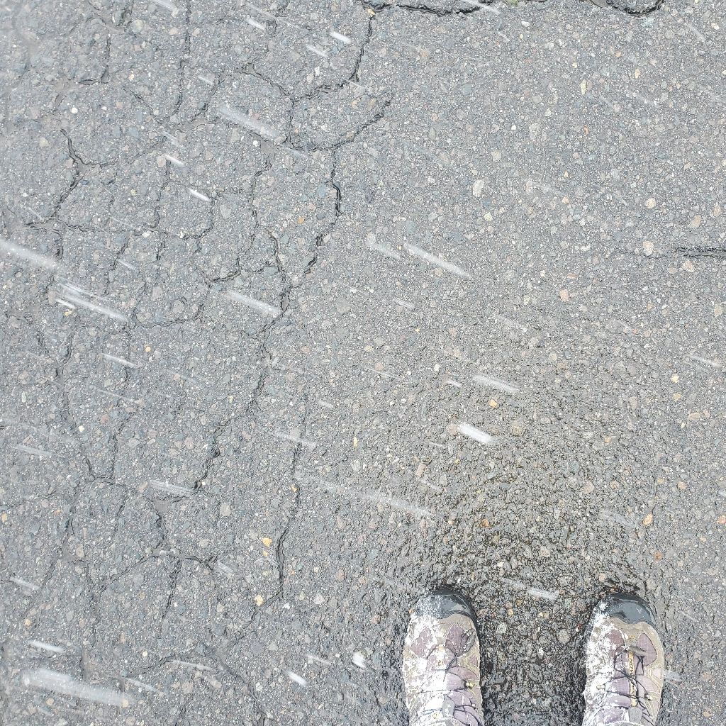 20551212 息子の寮誌のタイトルは「キミシダイ列車」