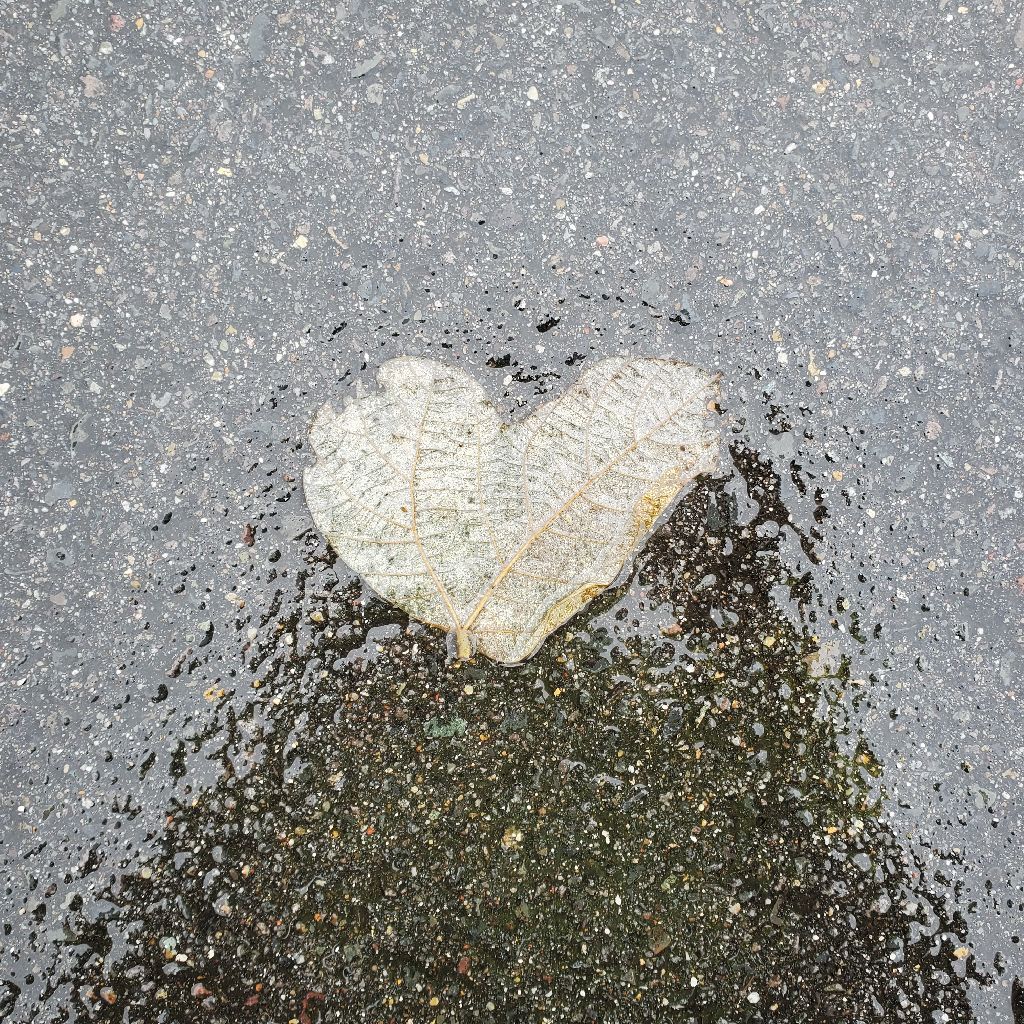 20251215 雪降りラジラン　鼻水垂らしながらお返しトーク