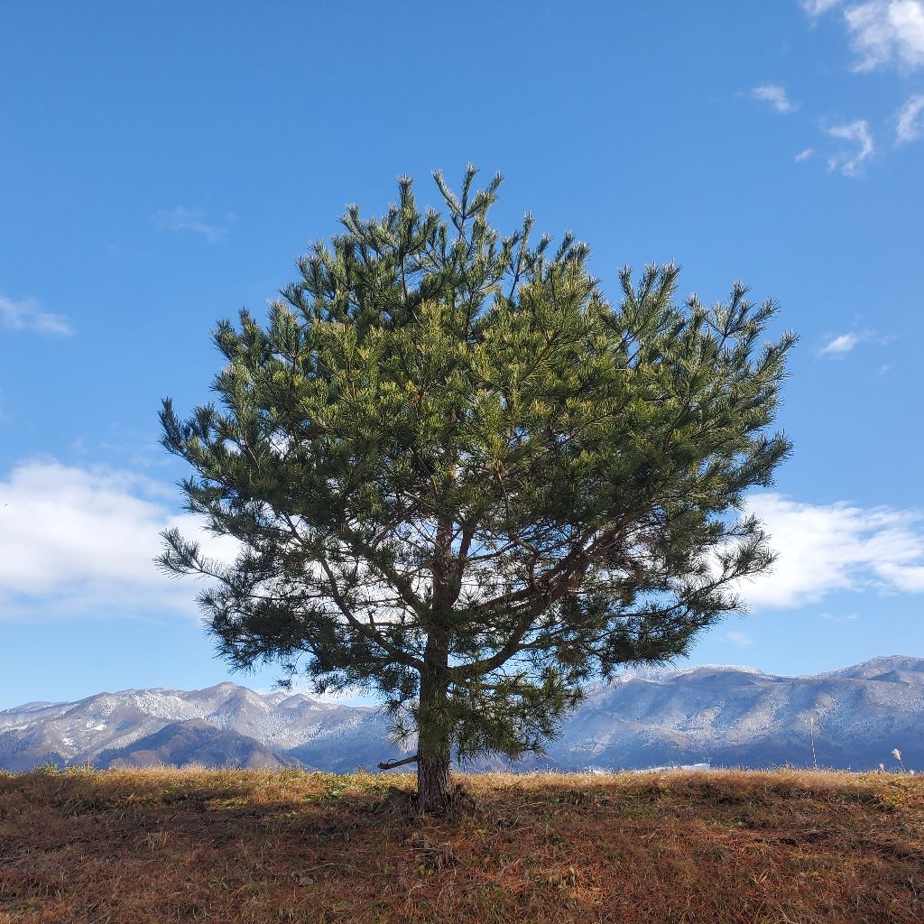 20251216 【収録の日】DEMO音源が名曲になった話