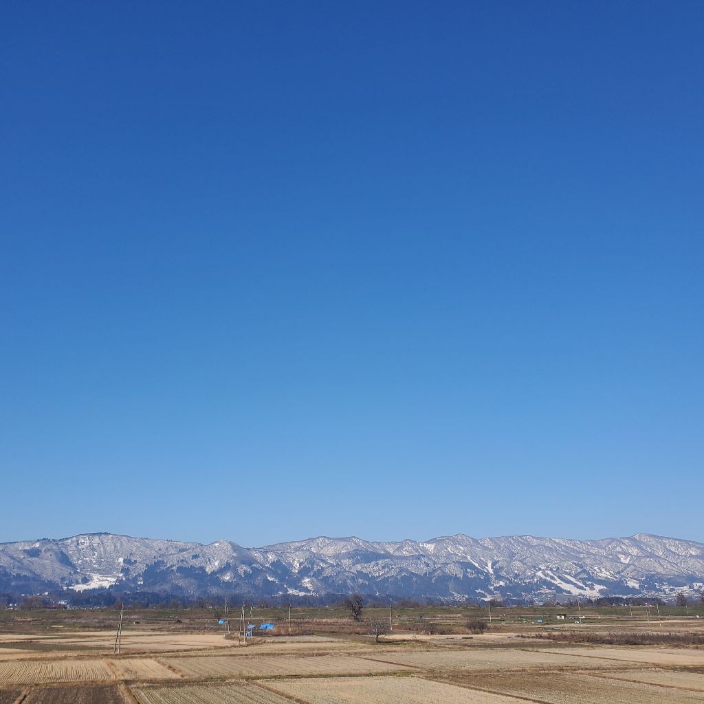 20251219 人違いとワクワクするコラボの話