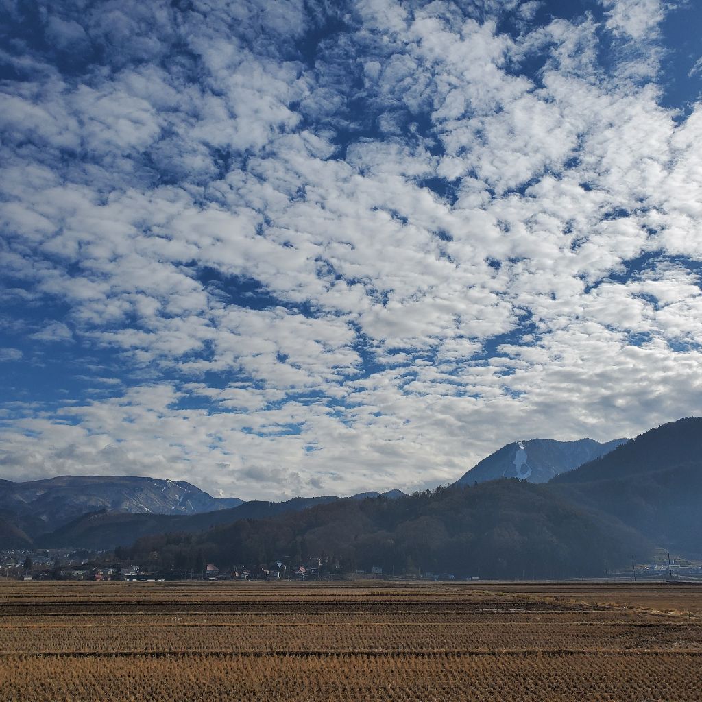 20251220 hyhが影響を受けたバンド