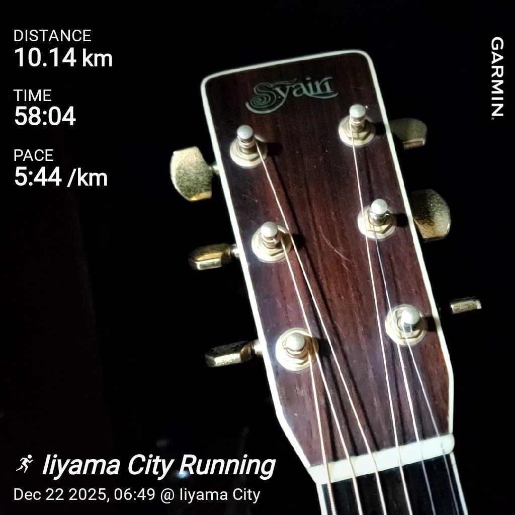 20251222 hyhが購入したギターの話