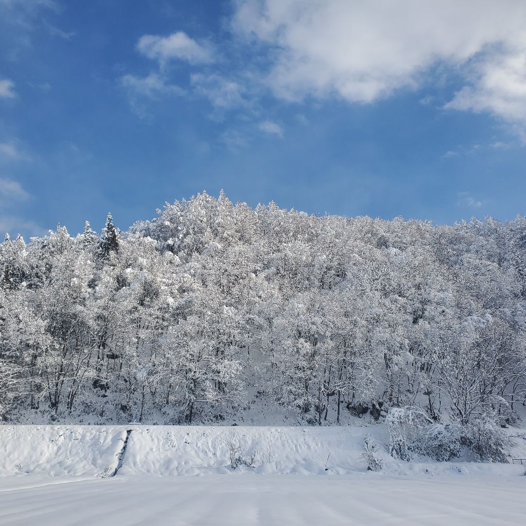 20251227 一日休んでラジラン再開！お返しトーク３本