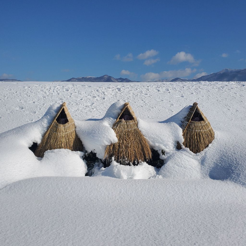 20251228 またしても気になるギターの話