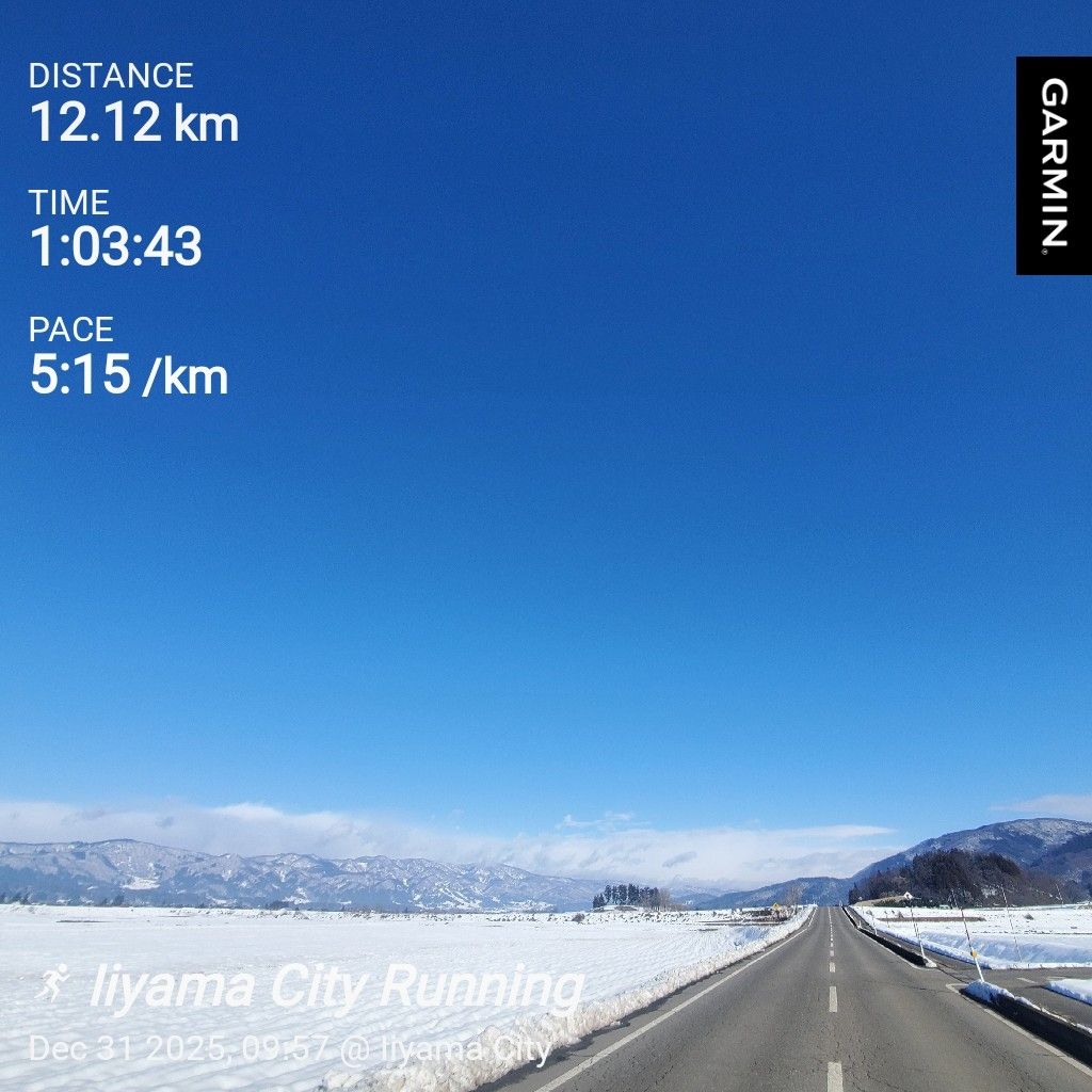 20251231 hyh2025年記憶に残る出来事ベスト10