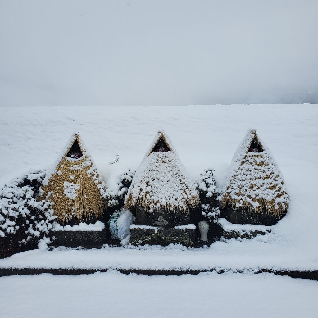 20260101 元旦から良いことがあった話