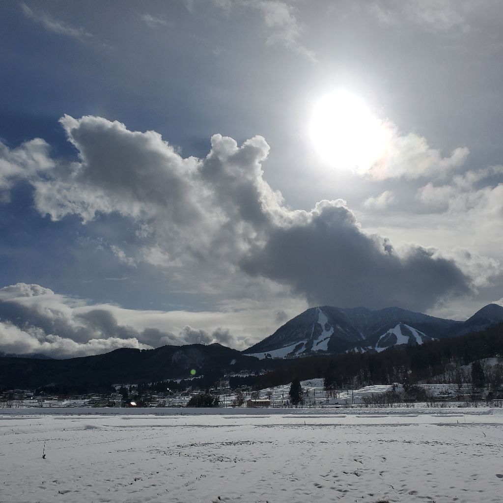 20260102 🌸ふたつ・マングローブ🌸さんと内緒話