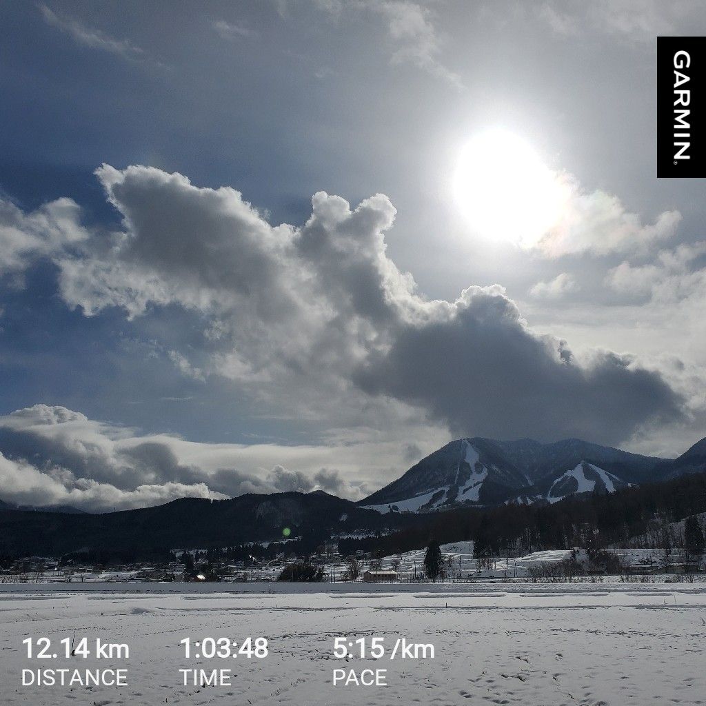 20260102 🌸ふたつ・マングローブ🌸さんと二人で内緒話