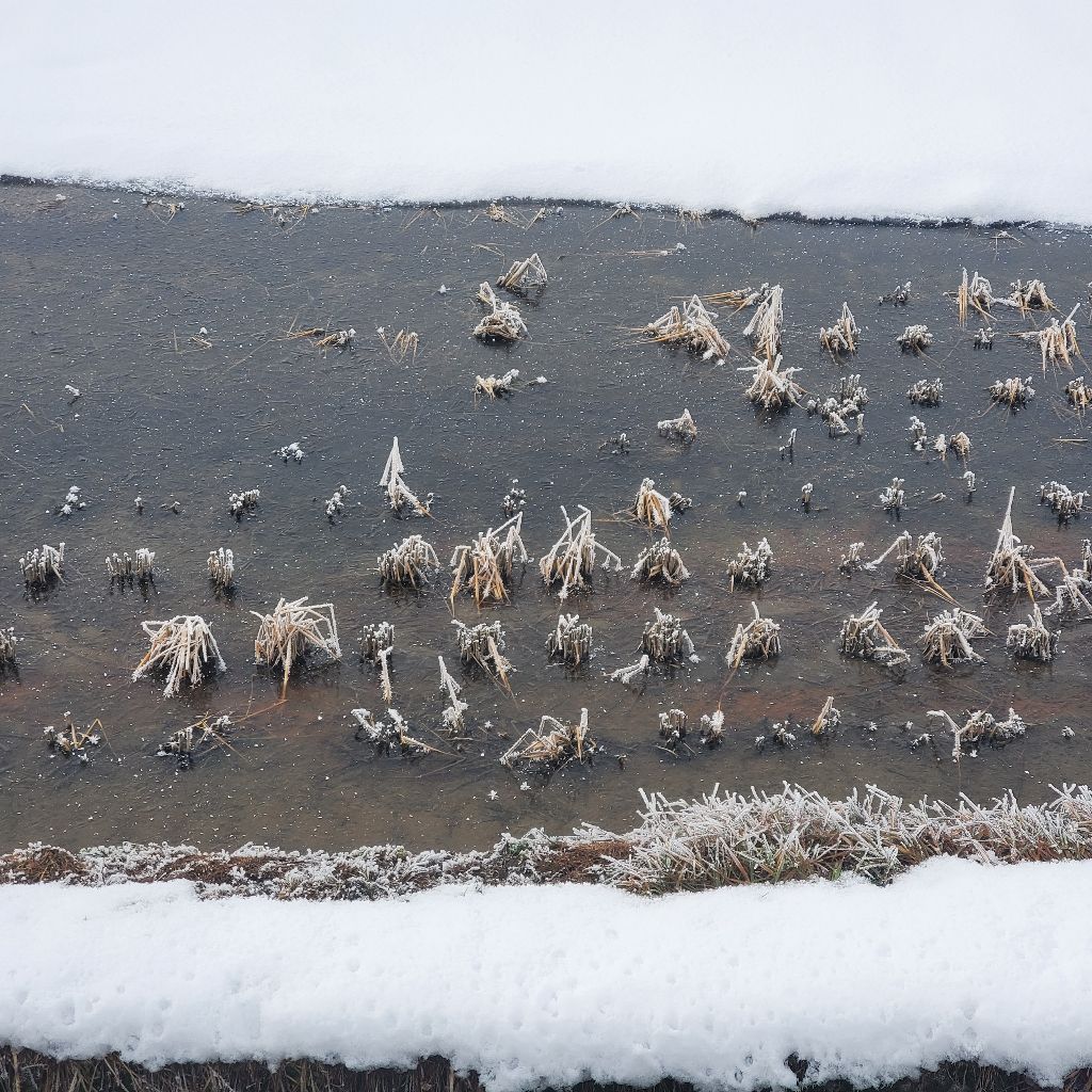20260107 氷点下のラジランでまたしてもギターの話