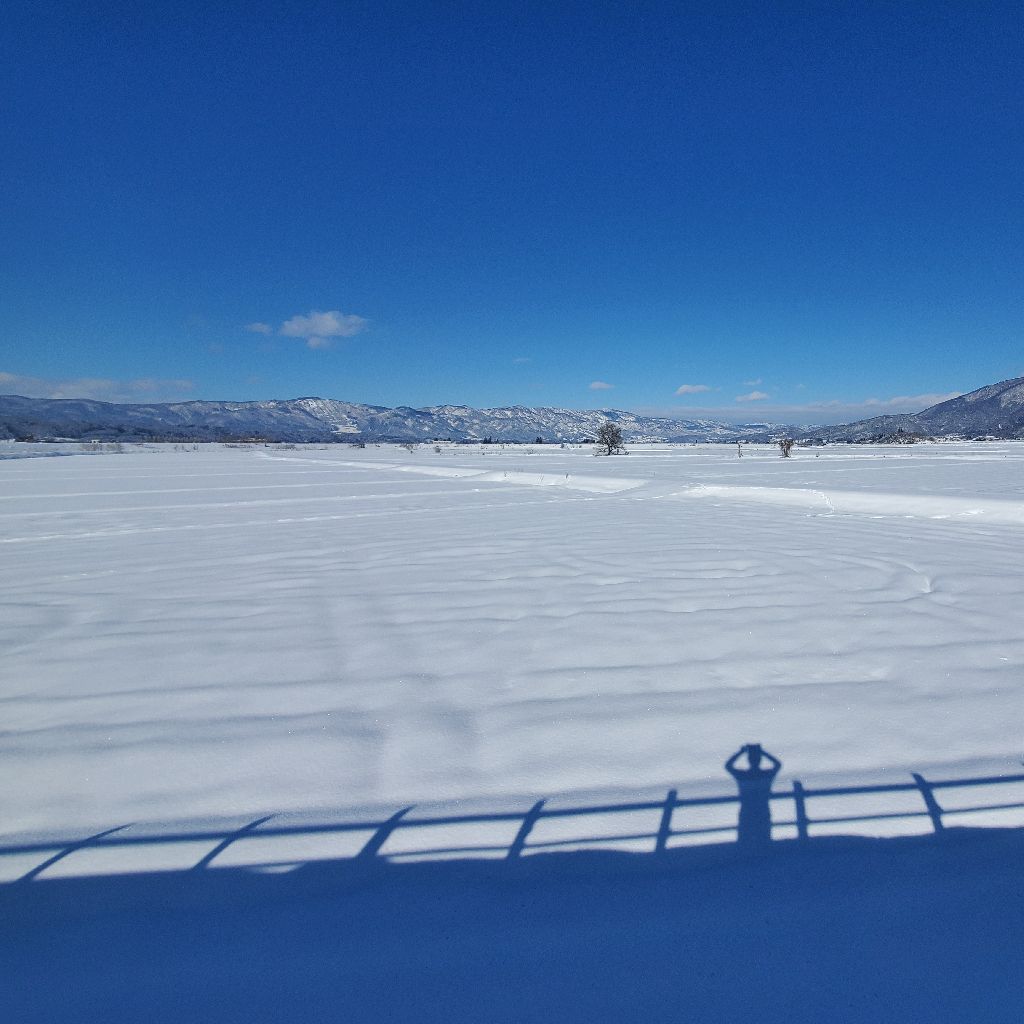 20260109 今日は何の日？