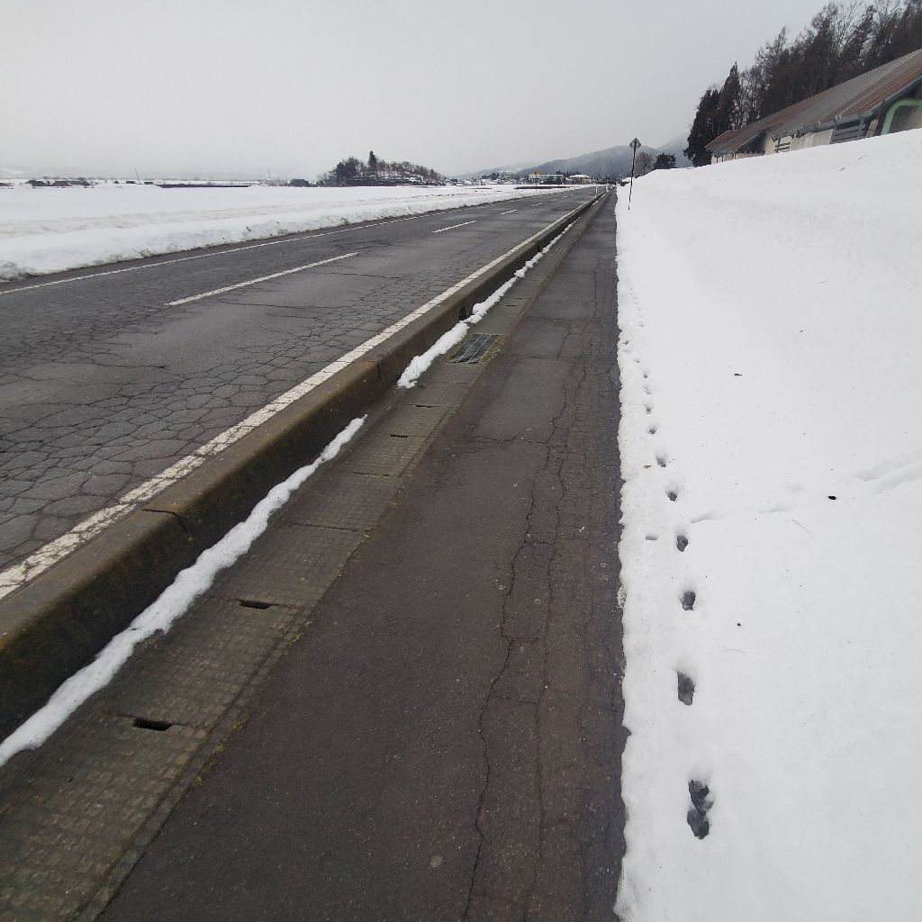 20260111 新年総会前にラジラン📻️🏃＝