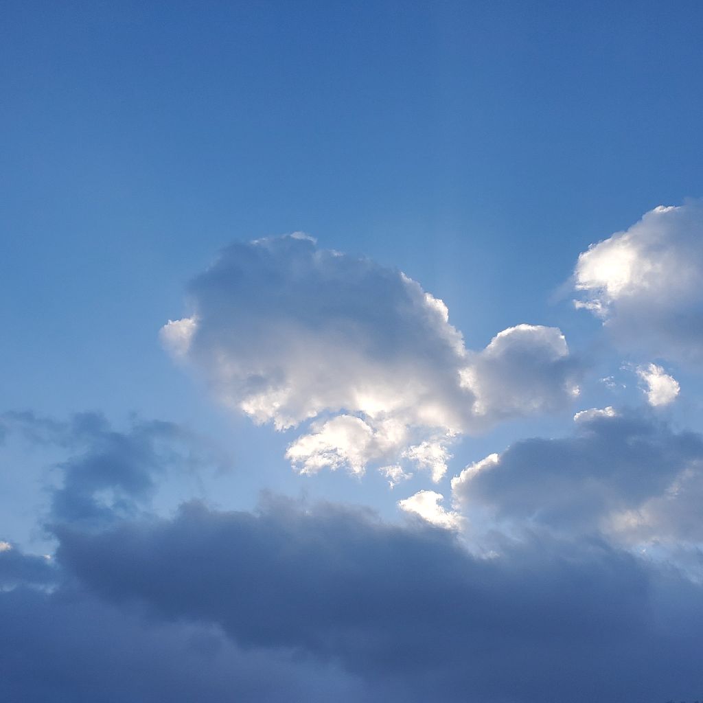 20260116 義理の弟夫婦に二人目が生まれた話