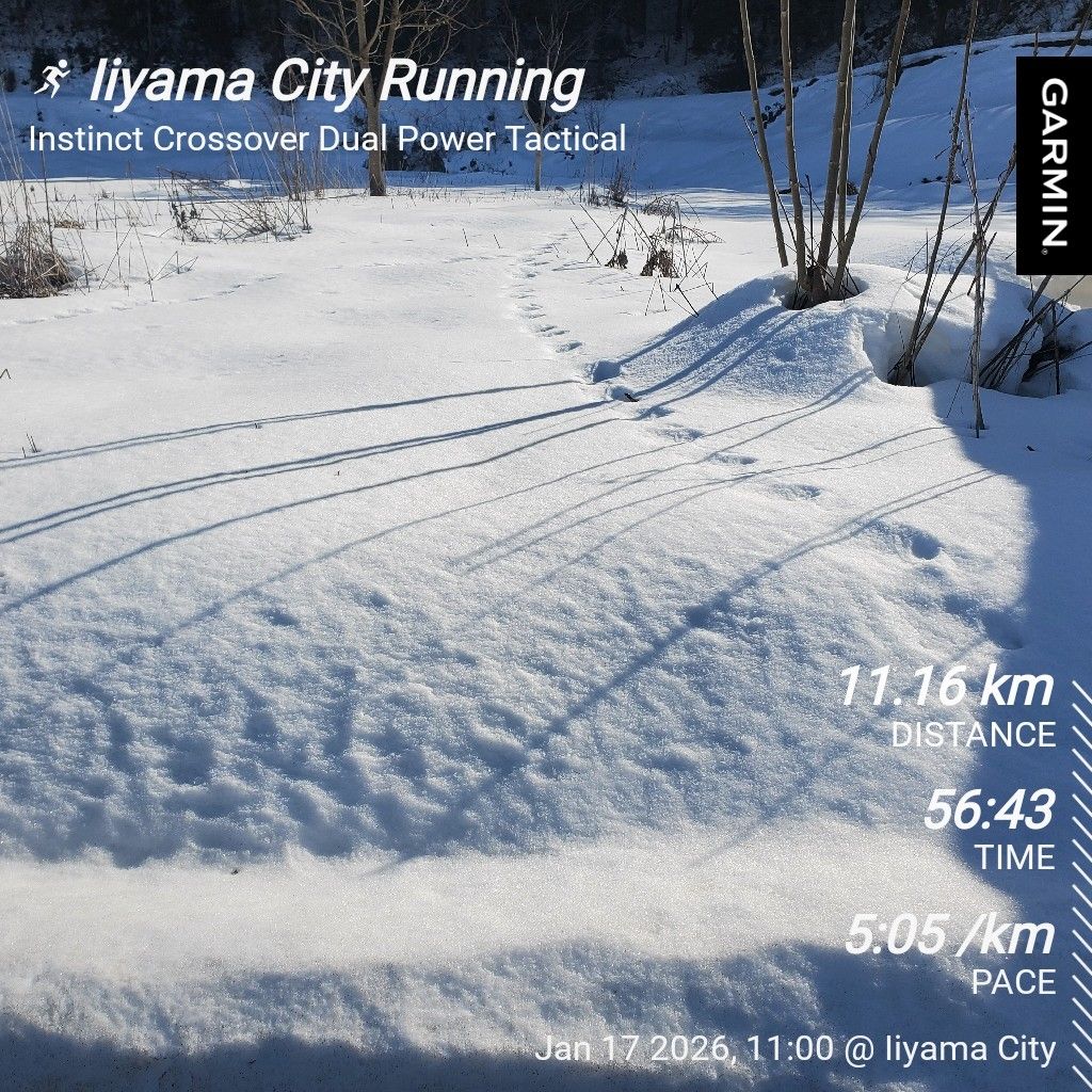 20260117 hyhのギター弾き語り動画と妻のクロカン写真、どちらが欲しいかの話