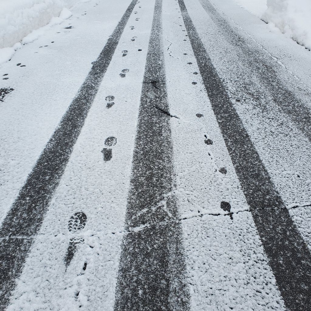 20260128 初めての犬と並走しながらのラジラン🏃🦮＝