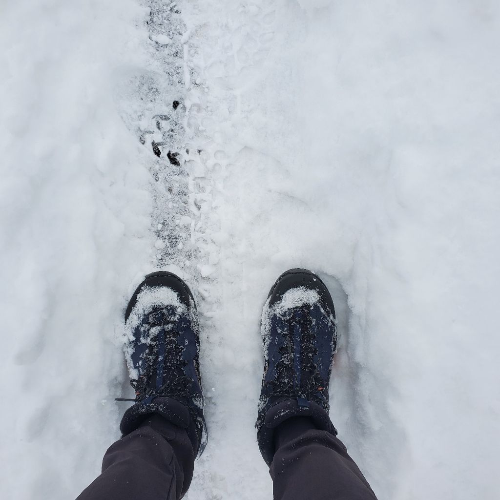 20260129 しっかり二度寝してからラジランでお返しトーク