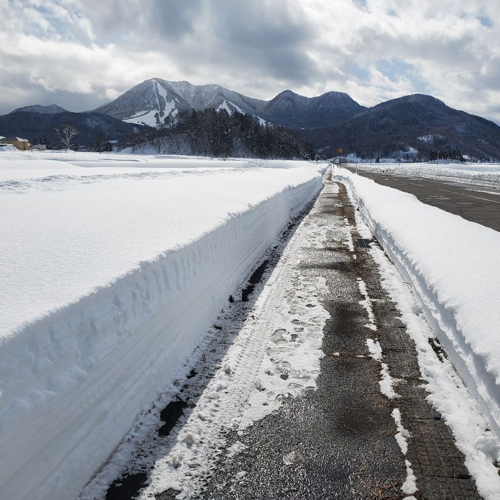 20260131 今月の走行距離と１月サンクスギフト