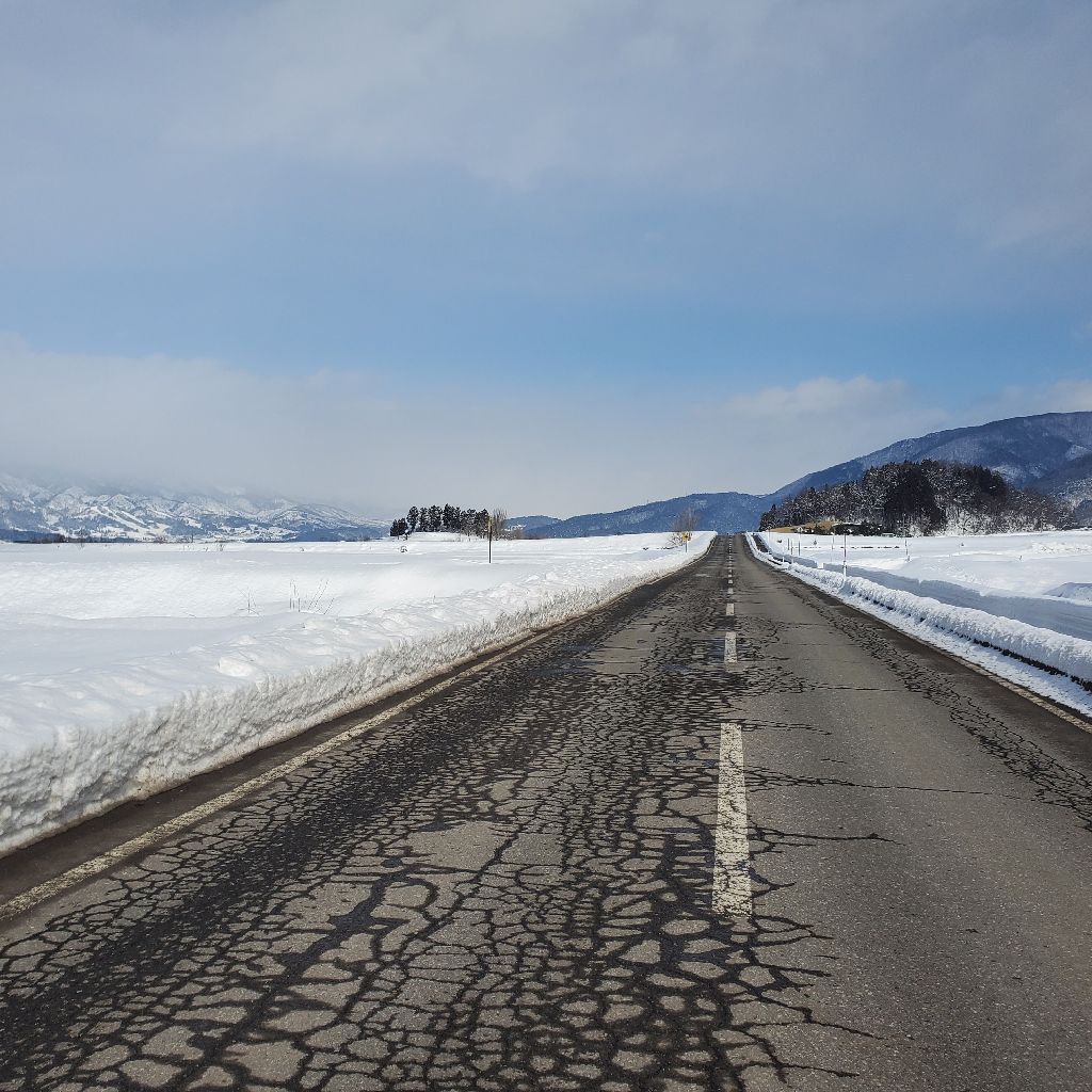 20260201 hyhファーストアルバムと職場の飲み会の話