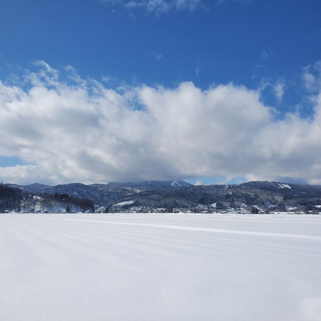 20260203 草を食べる男の話とお返しトーク