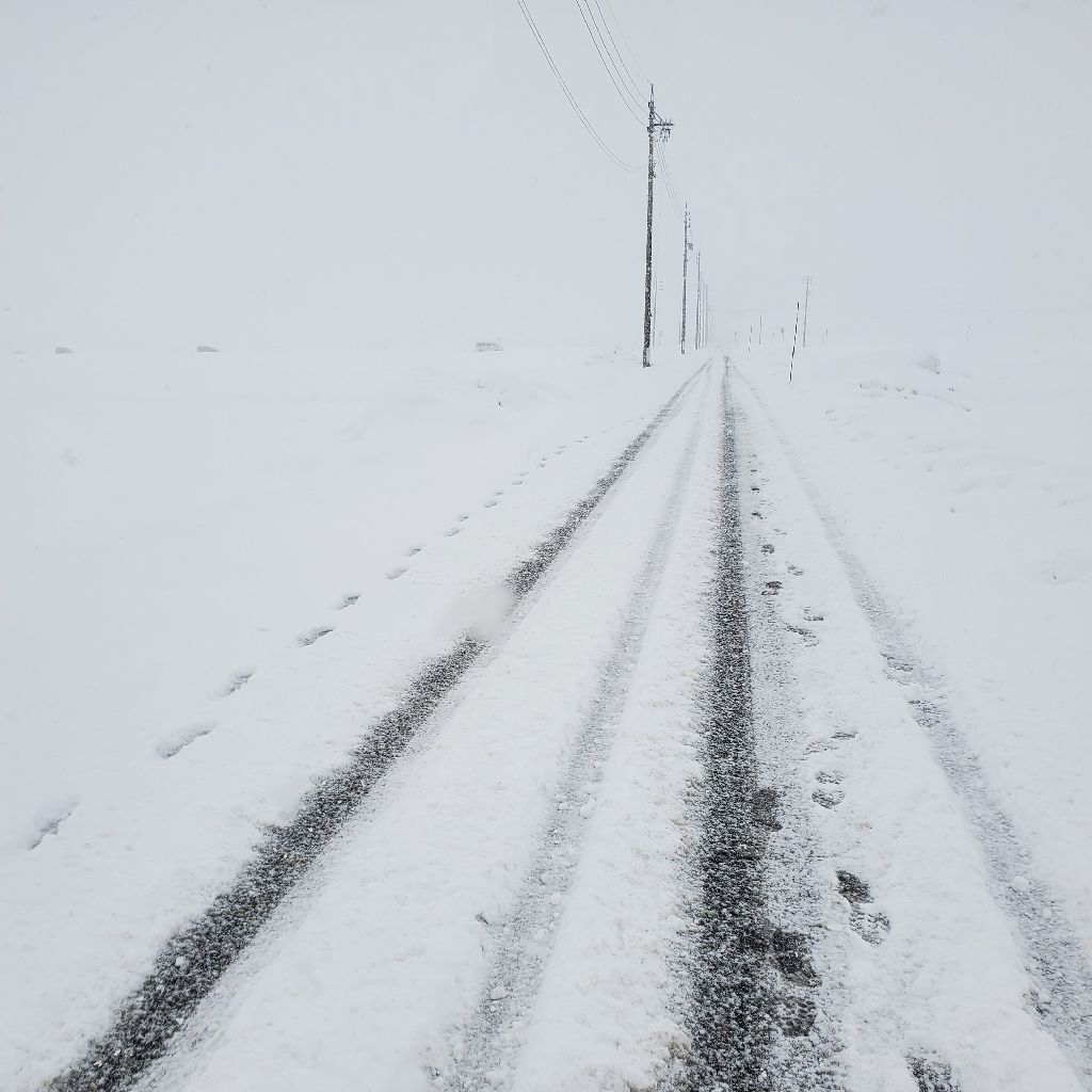 20260208 ライブ報告②お返しトークでなっちんの声の味は…