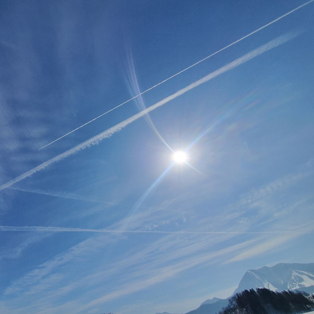 20260214 バレンタインデーにどうでもいいhyh最新情報を４つどうぞ