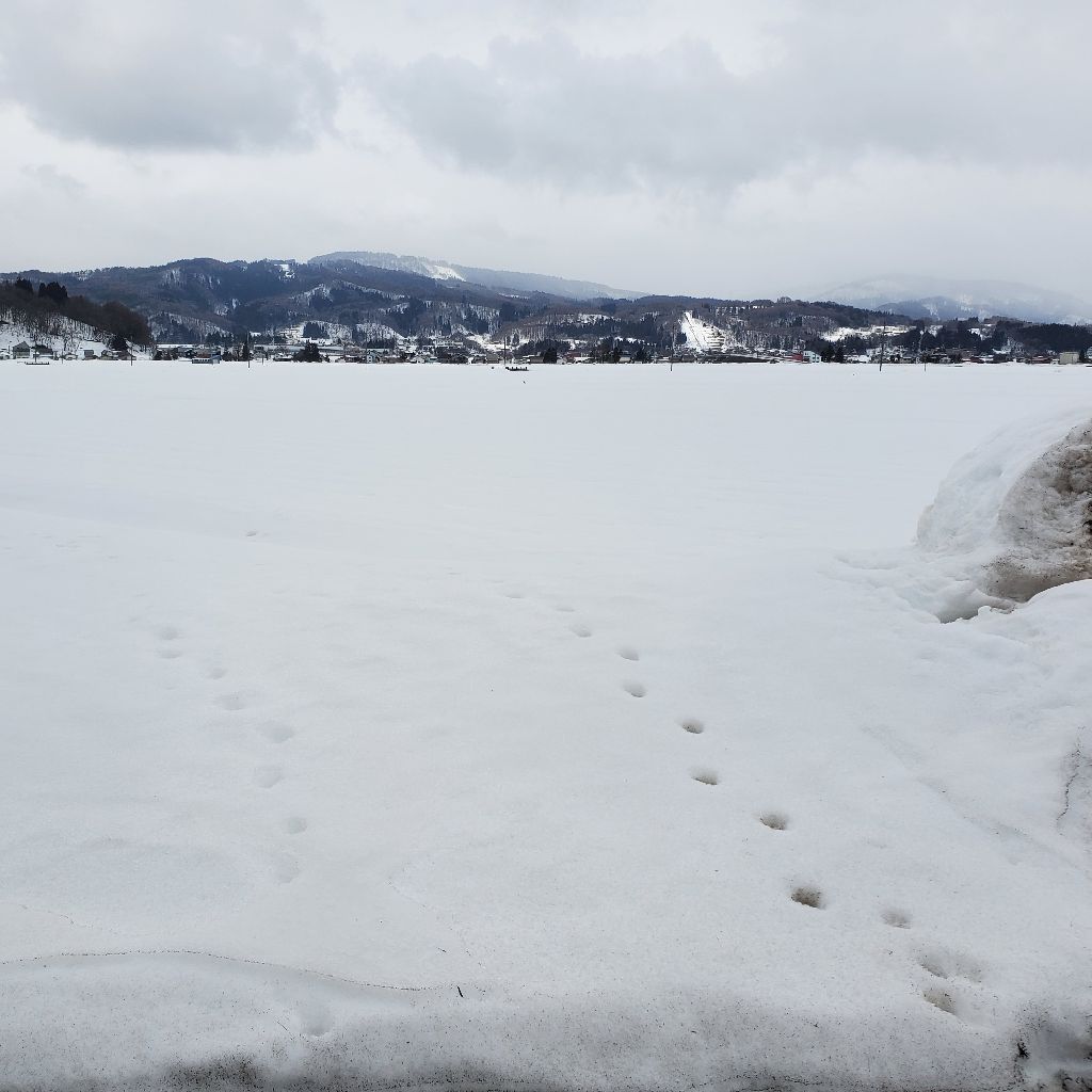 20260216 【収録の日】バレンタインデーの話