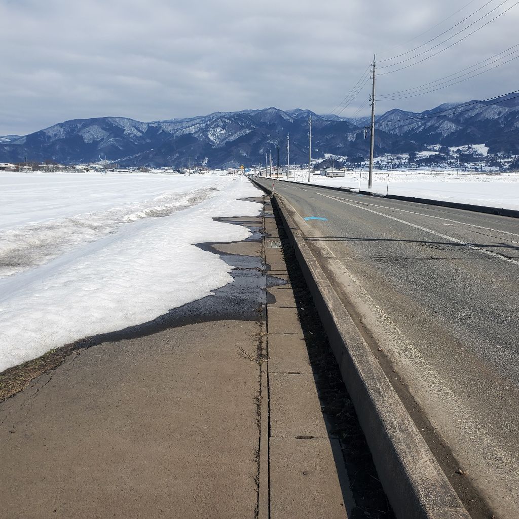 20260217 歯医者の報告と数少ないhyhの恋バナ