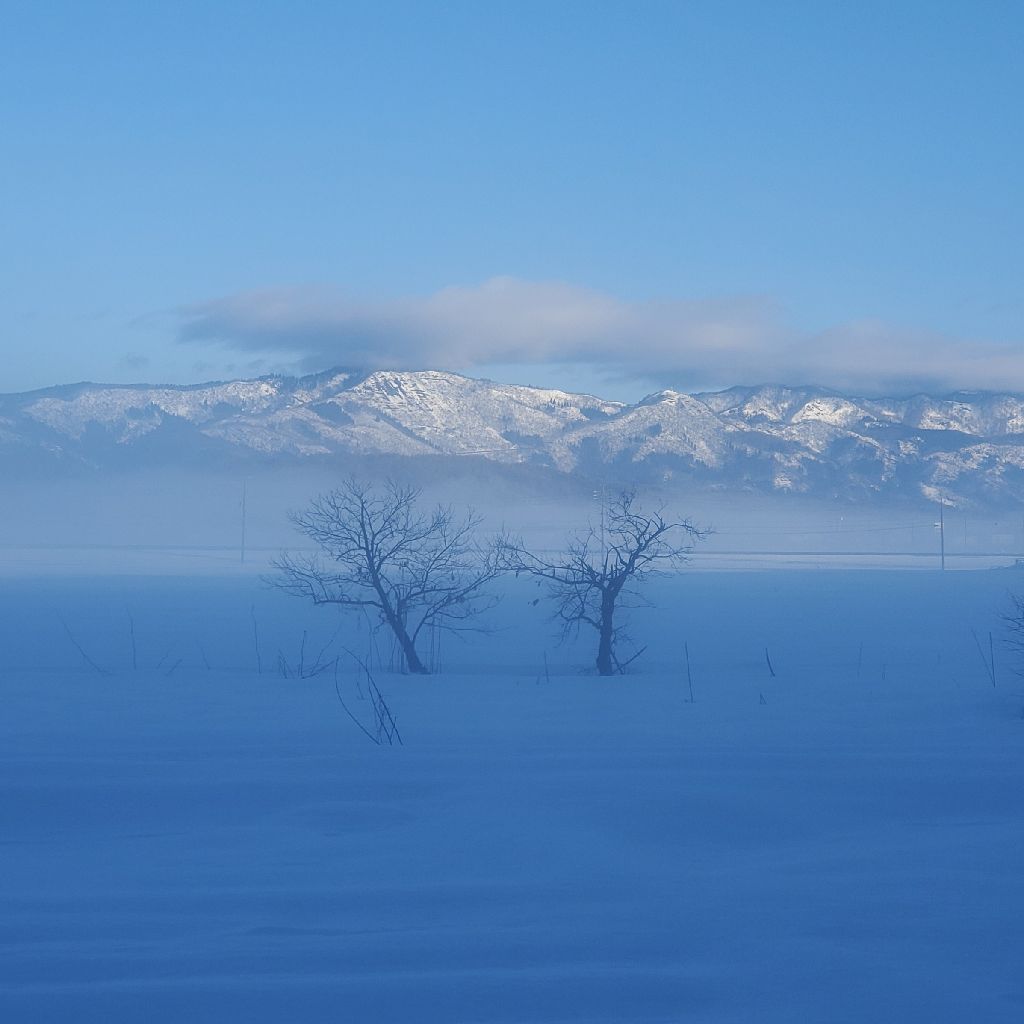 20260226 お返しトーク３本