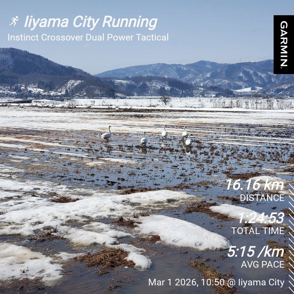 20260301① 白鳥の鳴き声と思いのままに歌うこと