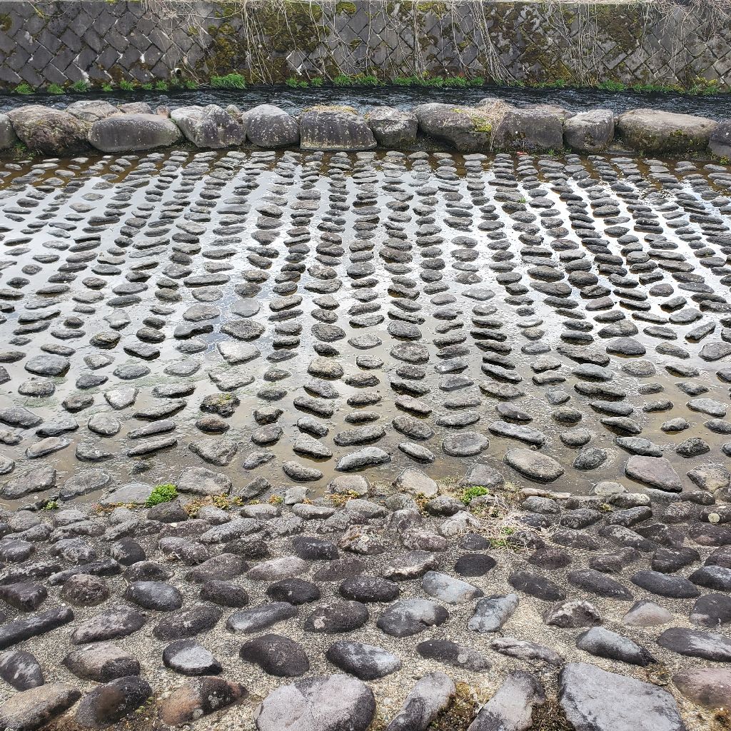 20260305 にわかには信じがたい「それは乙πではない」話