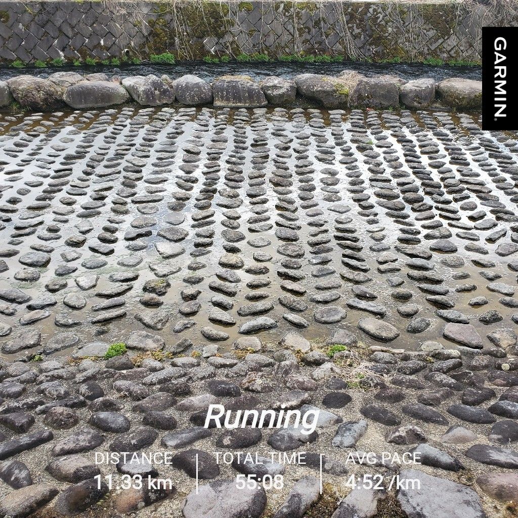 20260305 にわかには信じがたい「それは乙πではない」話