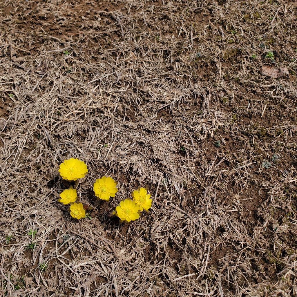 20260306 長野マラソンの慰労会とスナックhyhで萌え萌えきゅん♡の話