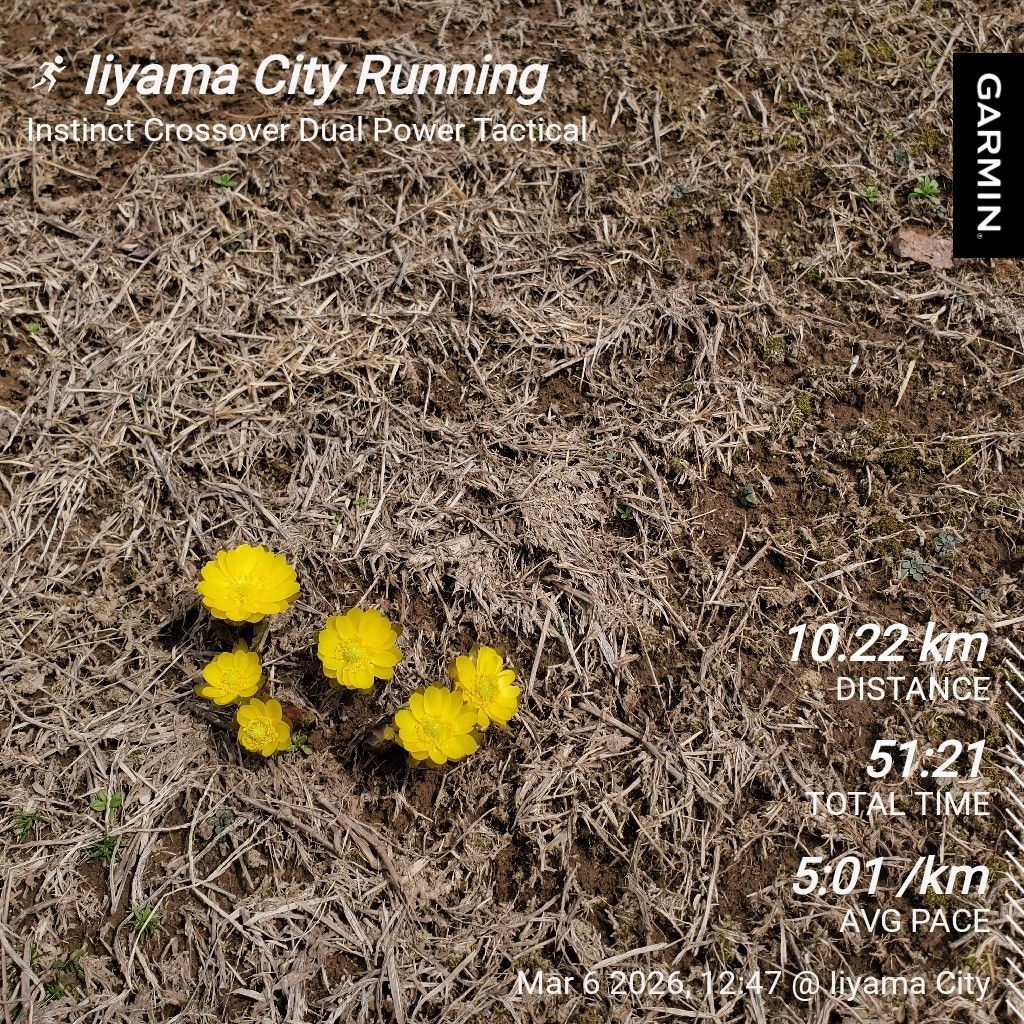 20260306 長野マラソンの慰労会とスナックhyhで萌え萌えきゅん♡の話