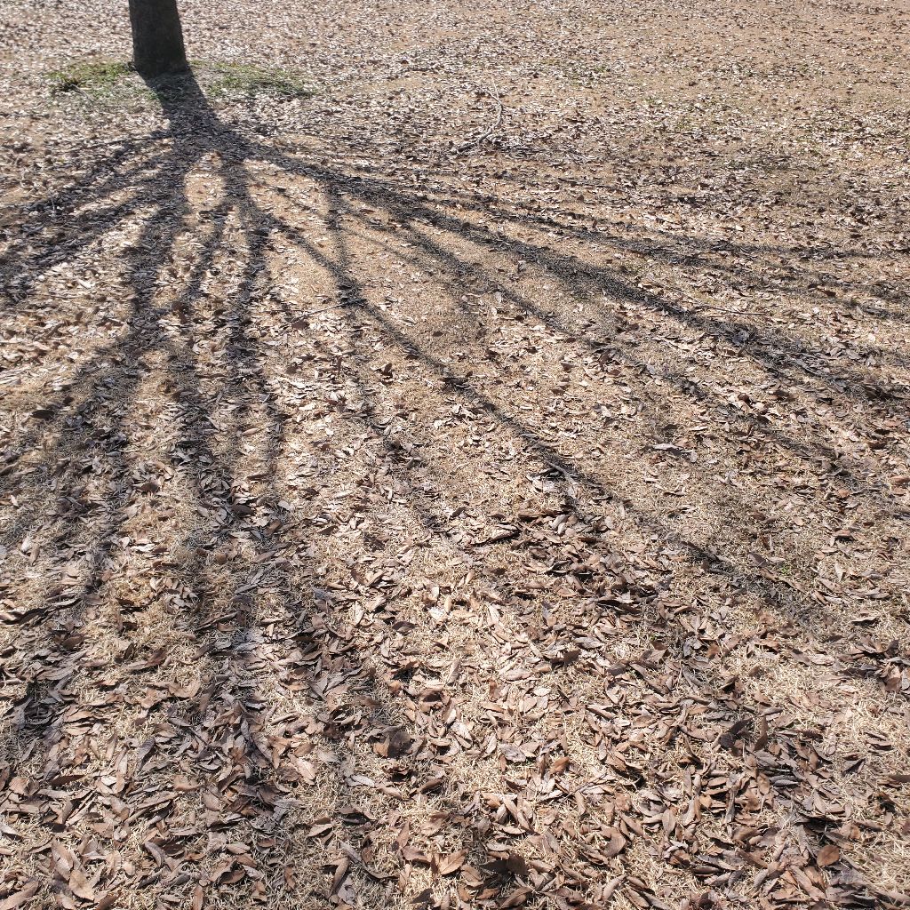 20260307 オススメの収録と本の話（お返しトークあり）