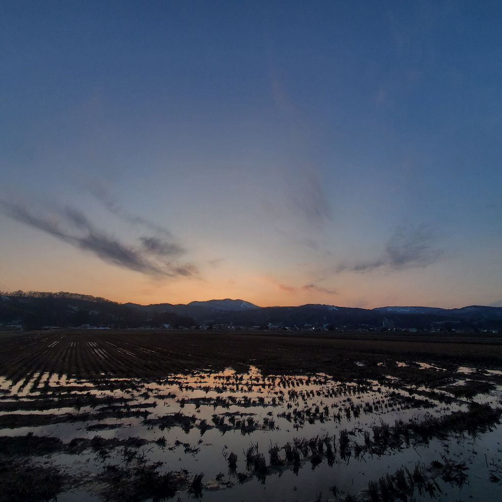 20260309 珍しい夕方ラジラン