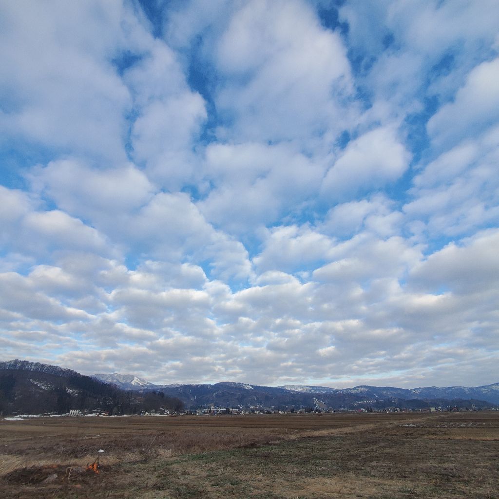 20260311 登竜門を終えての感想と作成中のhyhオリジナル新曲の話