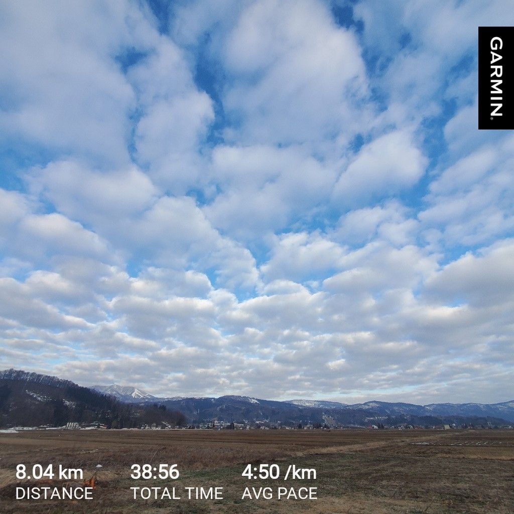 20260311 登竜門を終えての感想と作成中のhyhオリジナル新曲の話