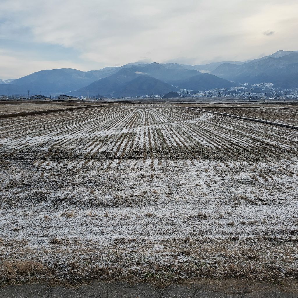 20260313 【悲しいお知らせ】誕生日設定はお早めに（お返しトークあり）