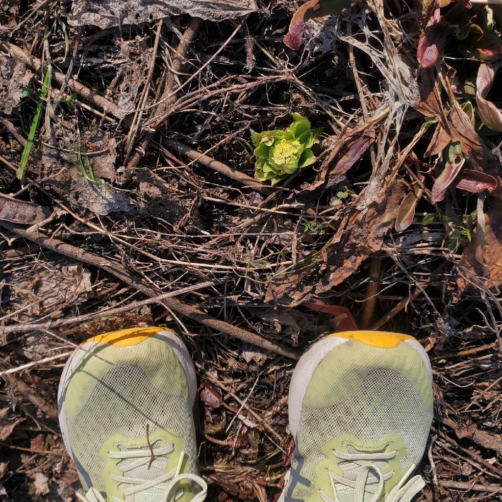 20260316② 誕生日にオススメの一曲の紹介とお返しトーク