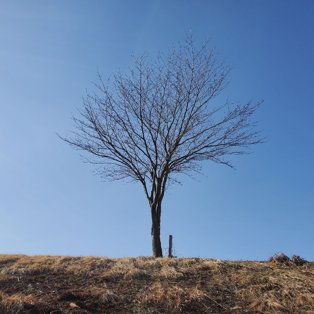 20260316③ 誕生日にオススメの収録の紹介とお返しトーク