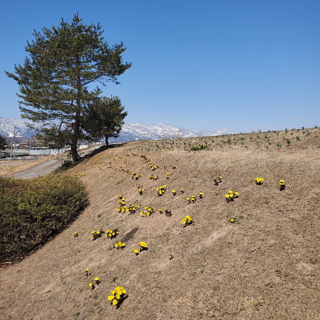 20260317 オススメの収録とお返しトーク