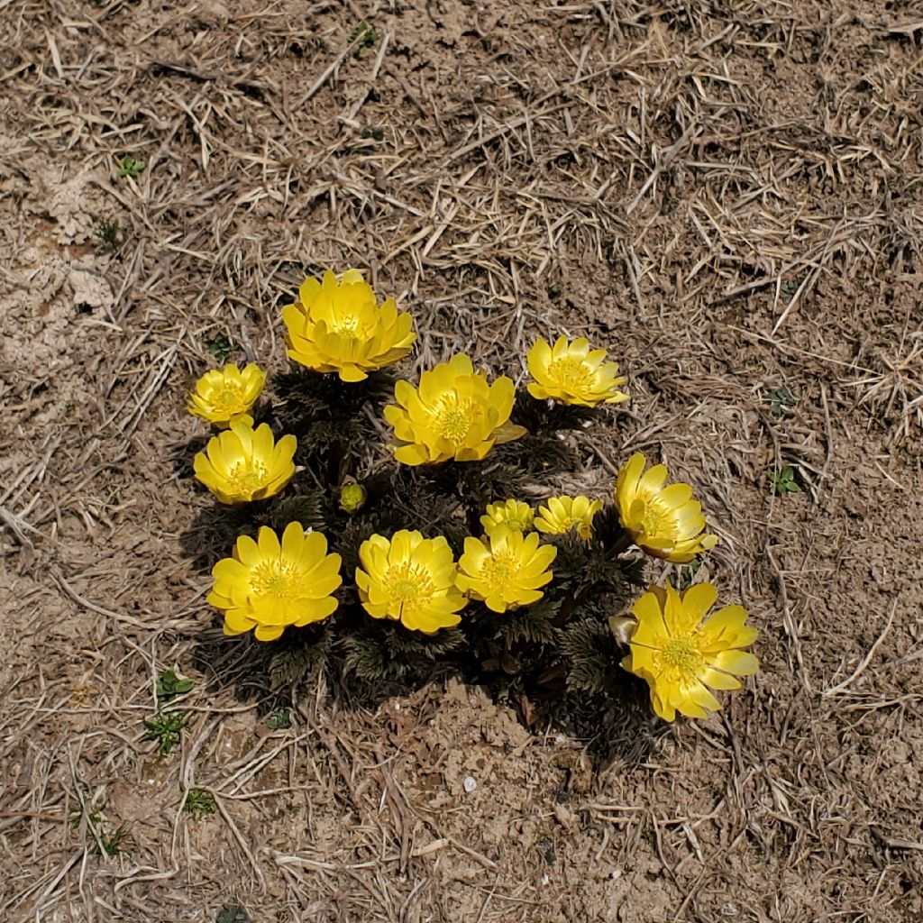 20260318 hyhの手袋最新情報とお返しトーク７本