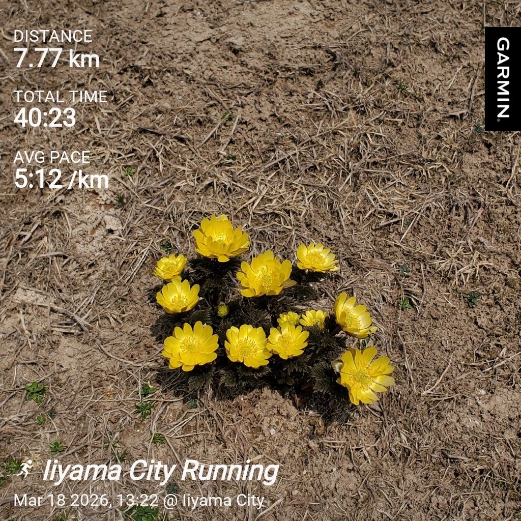 20260318 hyhの手袋最新情報とお返しトーク７本