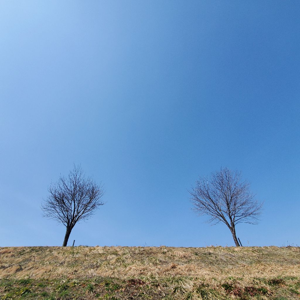 20260321 無料でオフトークをやる裏技と初オフトークの感想