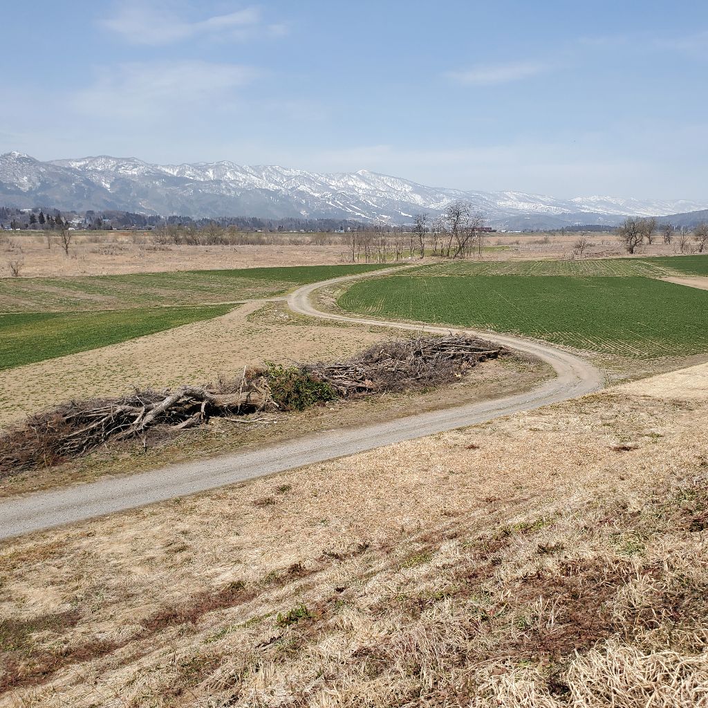 20260323 ブルーズな男の話とhyhをイメージした朗読が楽しみ過ぎる件