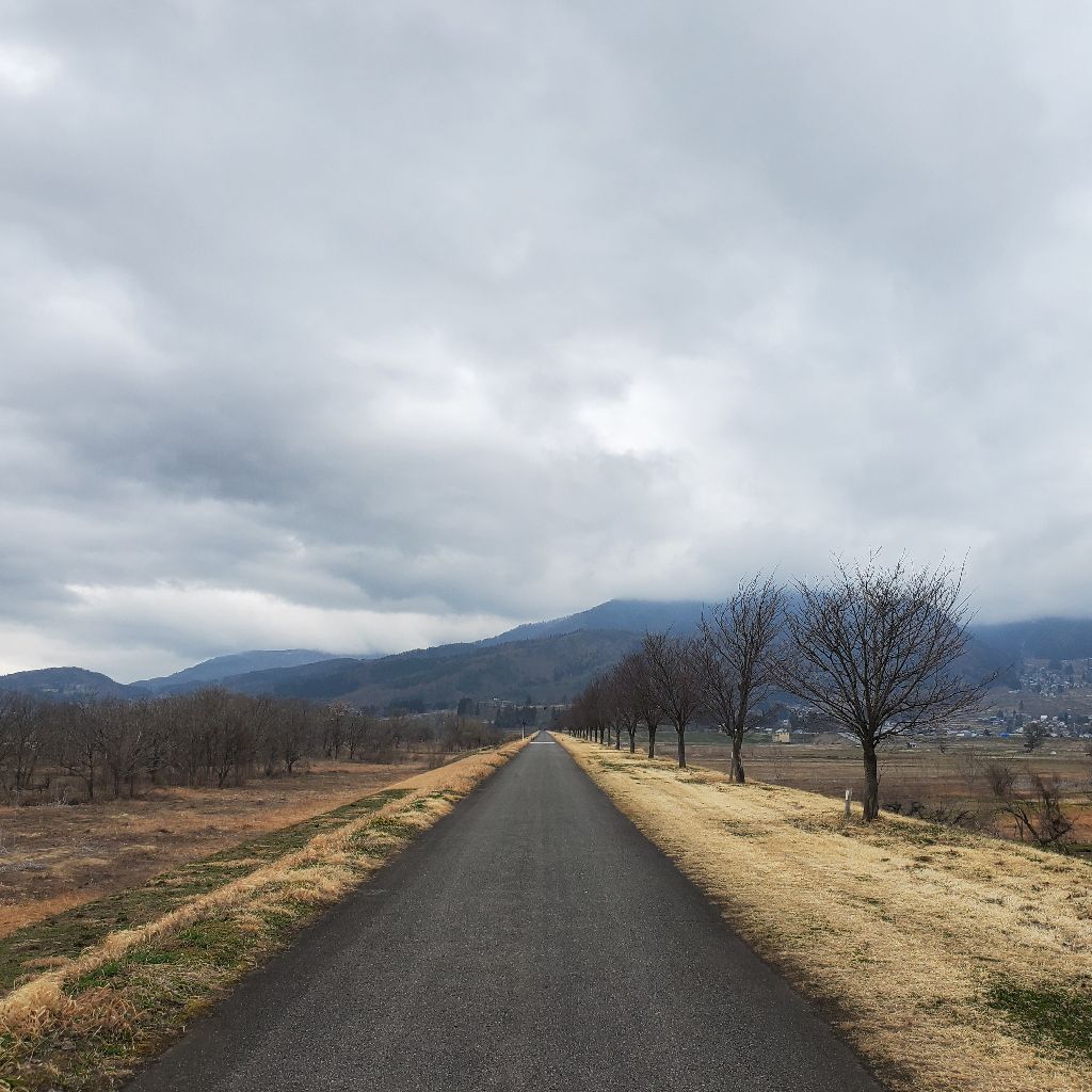 20260326 初？hyhの仕事の話